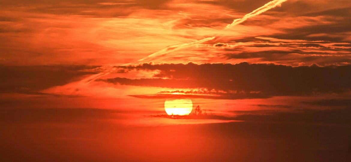 sardar-faizan-DyDCSwCcPf0-unsplash